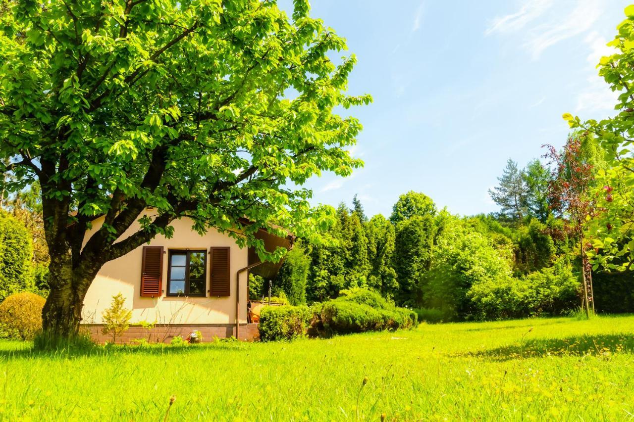 Sielankowy domek w górach Villa Bielsko-Biała Exterior foto